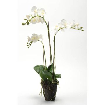Umělá orchidej phalaenopsis PABLA, v zemině, bílá, 70cm
