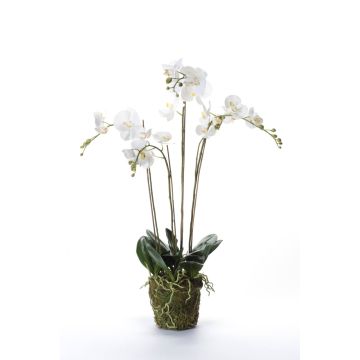 Umělá orchidej phalaenopsis PABLA, v mechu, bílá, 90cm