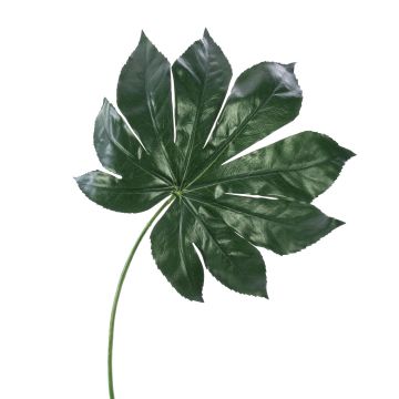 Umělý list arálie FARIS, zelená, 55cm