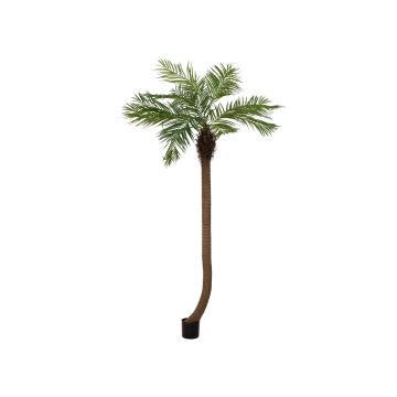 Umělá fénix palma MANJANA, 240cm
