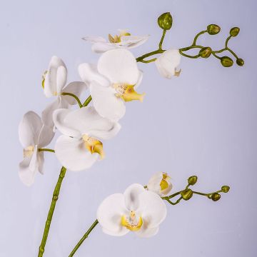 Umělá větev orchideje phalaenopsis LAHNA, bílá, 95cm