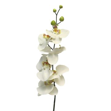 Umělá větvička orchideje phalaenopsis LANUA, krémová, 75cm