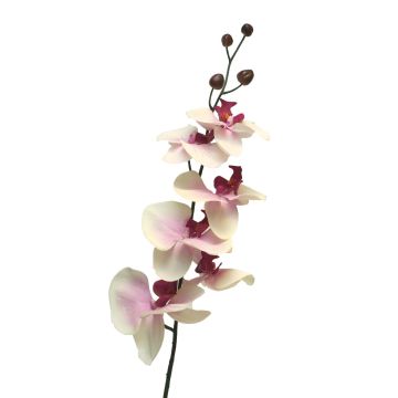 Dekorativní větvička orchideje phalaenopsis LANUA, krémově růžová, 75cm