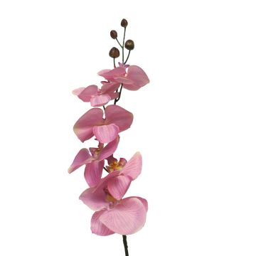 Dekorativní větvička orchideje phalaenopsis LANUA, růžová, 75cm