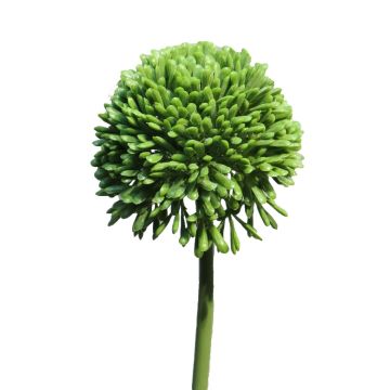 Umělá květina allium BAILIN, zelená, 40cm