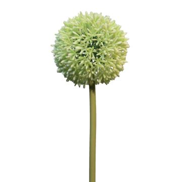Umělá květina allium BAILIN, krémově zelená, 65cm