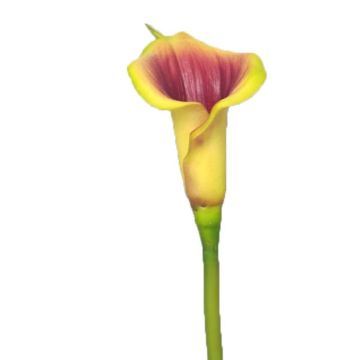 Umělá květina Calla SHUNYA, žluto-fialová, 65cm