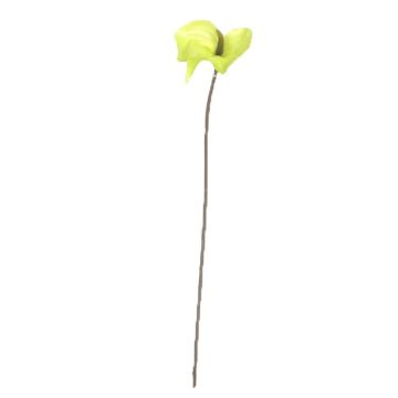 Umělá květina anthurium FEIWU, světle zelená, 65cm