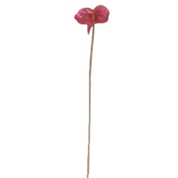Umělá květina anthurium FEIWU, vínová, 65cm