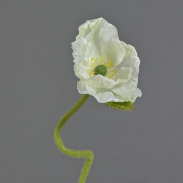 Umělá květina mák ANKANG, krémová, 70cm