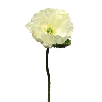 Umělá květina mák ANKANG, krémová, 70cm