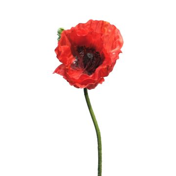 Umělá květina mák ANKANG, červená, 70cm
