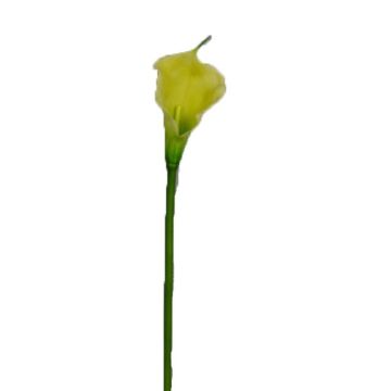 Umělá květina zantedeschie DOU, žlutozelená, 70cm