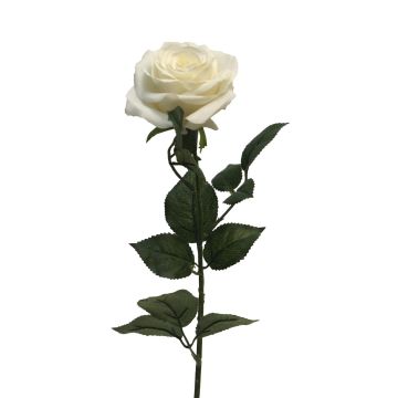 Umělá růže KAILIN, krémová, 65cm