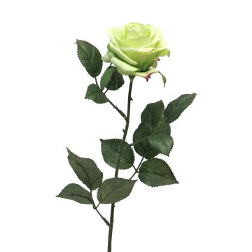 Umělá růže KAILIN, světle zelená, 65cm