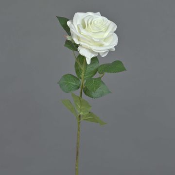Umělá růže KAILIN, bílá, 65cm
