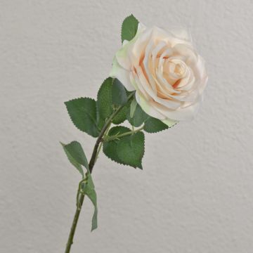 Umělá růže KAILIN, krémově růžová, 65cm