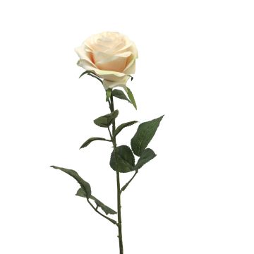 Umělá růže KAILIN, krémově růžová, 65cm