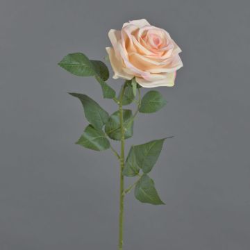 Umělá růže KAILIN, růžovo-krémová, 65cm