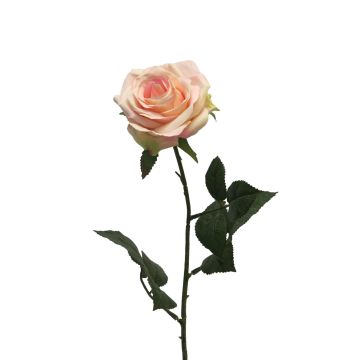 Umělá růže KAILIN, růžovo-krémová, 65cm
