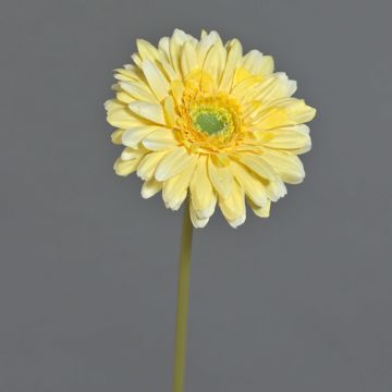 Umělá květina gerbera QIUDONG, žlutá, 50cm