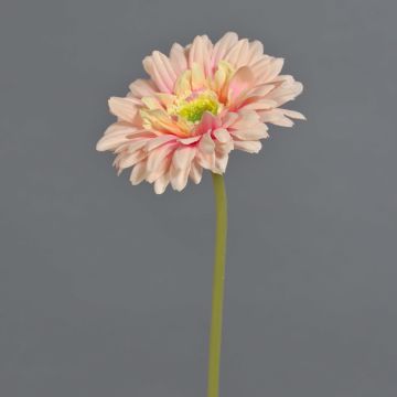 Umělá květina gerbera QIUDONG, broskvově růžová, 50cm
