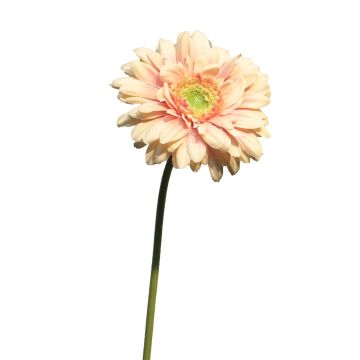 Umělá květina gerbera QIUDONG, broskvově růžová, 50cm