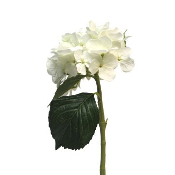 Umělá květina hortenzie XINCHENG, bílá, 50cm