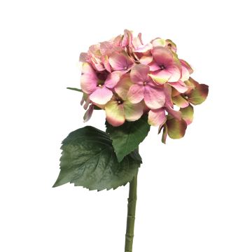 Umělá květina hortenzie XINCHENG, růžovo-zelená, 50cm