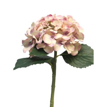 Umělá květina hortenzie XINCHENG, starorůžová, 50cm