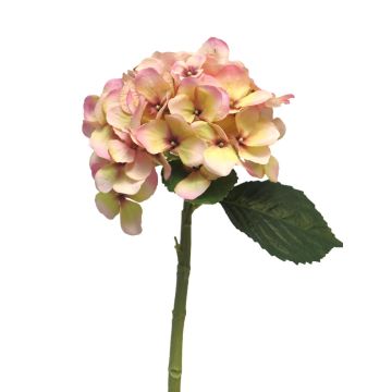 Umělá květina hortenzie XINCHENG, růžovo-žlutá, 50cm
