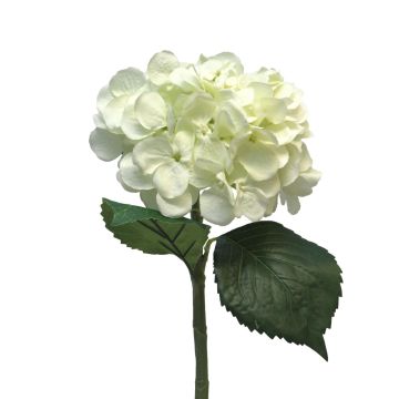 Umělá květina hortenzie FUXIANG, krémová, 50cm