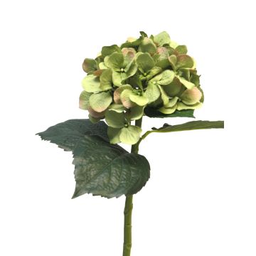 Umělá květina hortenzie FUXIANG, zelená-růžová, 50cm