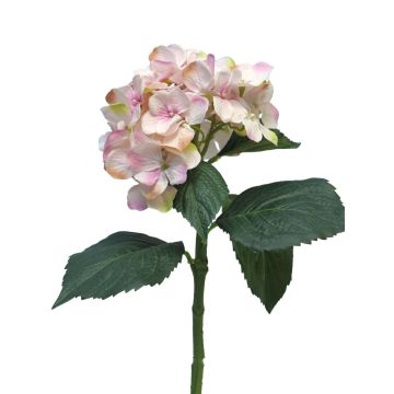 Umělá květina hortenzie FUXIANG, růžová-krémová, 50cm