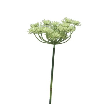 Dekorativní květ řebříčku XIAOYA, světle zelená, 70cm