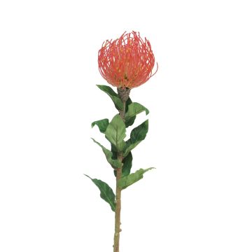 Umělé květiny Protea XIFANG, červená, 75cm