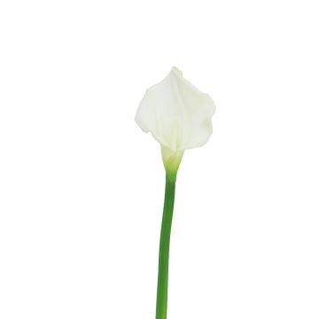 Umělá květina Zantedeschia ZHILONG, bílá, 55cm