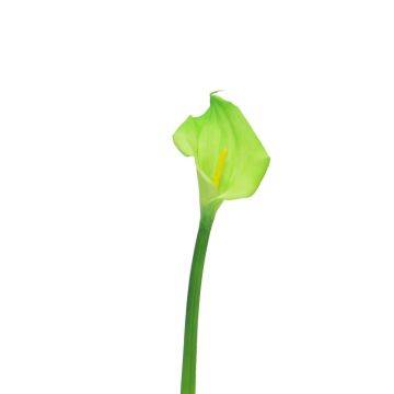 Umělá květina Zantedeschia ZHILONG, světle zelená, 55cm