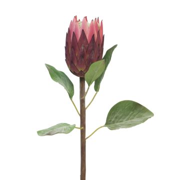 Umělá květina protea AZHEN, fialová, 65cm