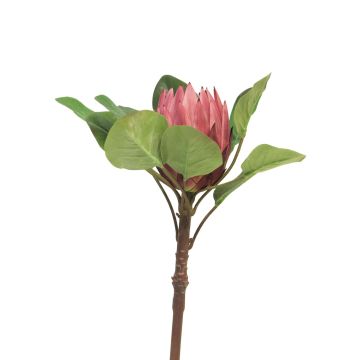Umělá květina protea JIANJUN, fialová, 85cm