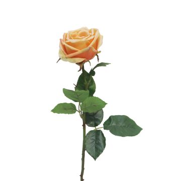 Umělá květina růže JIANHUA, broskev, 70cm
