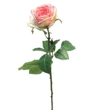 Umělá květina růže JIANHUA, růžovo-zelená, 70cm