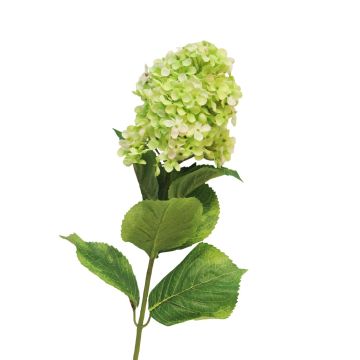 Umělá květina hortenzie latnatá YANGDAN, světle zelená, 85cm