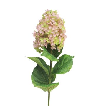 Umělá květina hortenzie latnatá YANGDAN, růžovo-zelená, 85cm
