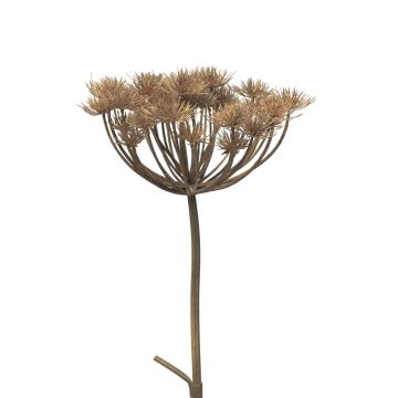 Umělá květina bolševník MIANYAN, hnědošedá, 100cm