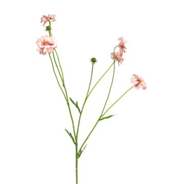 Dekorační větvička chrpy TAOTAO, růžovo-růžová, 65cm
