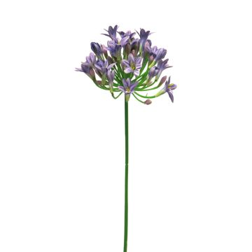 Umělá květina agapanthus ASONG, fialovomodrá, 75cm