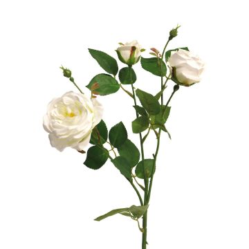 Dekorativní růže SHIYUN, krémová, 60cm