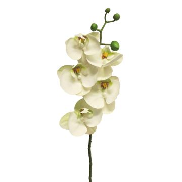 Umělá větvička orchideje Phalaenopsis SONGYA, bílá, 55cm
