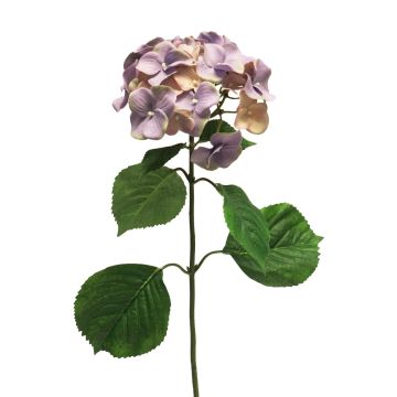 Umělá květina hortenzie MEITAO, fialovo-broskvová, 70cm